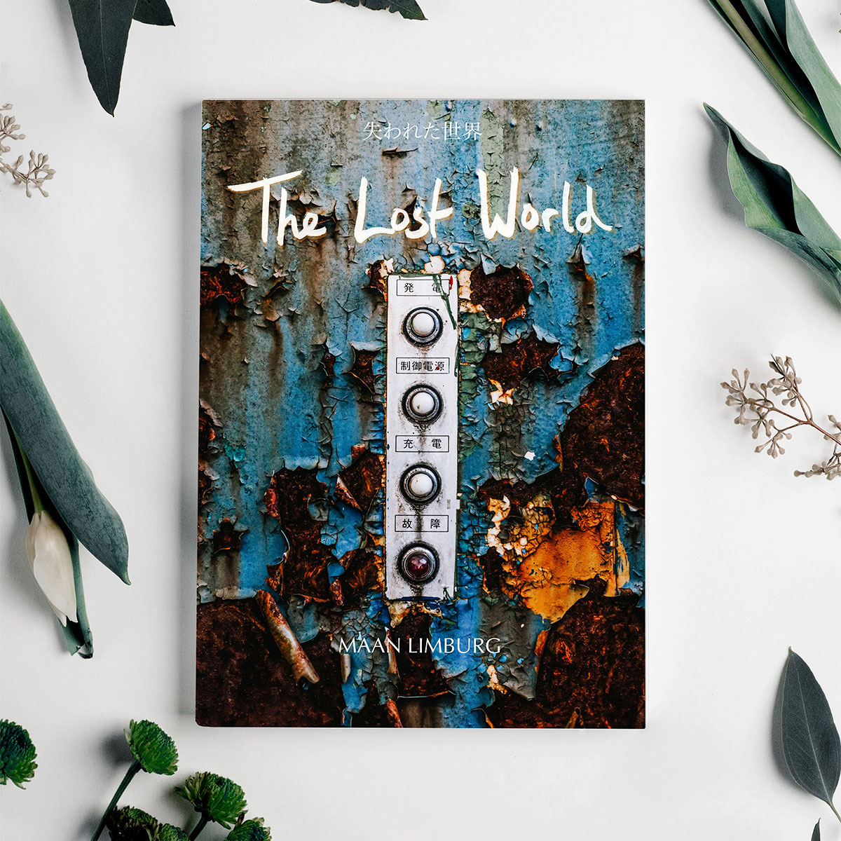 The Lost World - Book (2nd edition hardcover) - Image 3