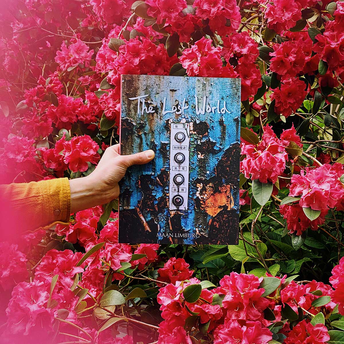 The Lost World - Book (2nd edition hardcover)