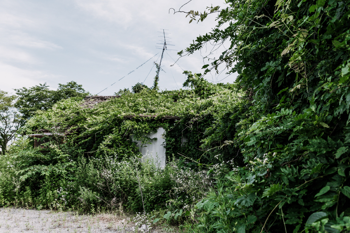 The Lost World - Art Prints - Image 2