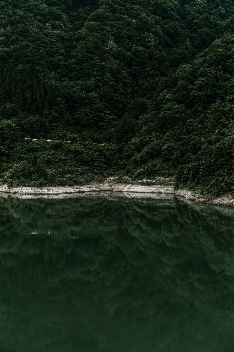 The Lost World - Art Prints - Image 8