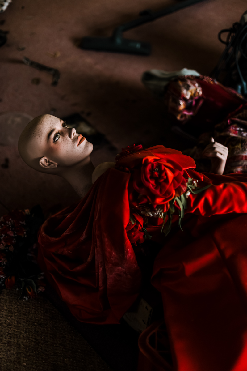 The Lost World - Art Prints - Image 18