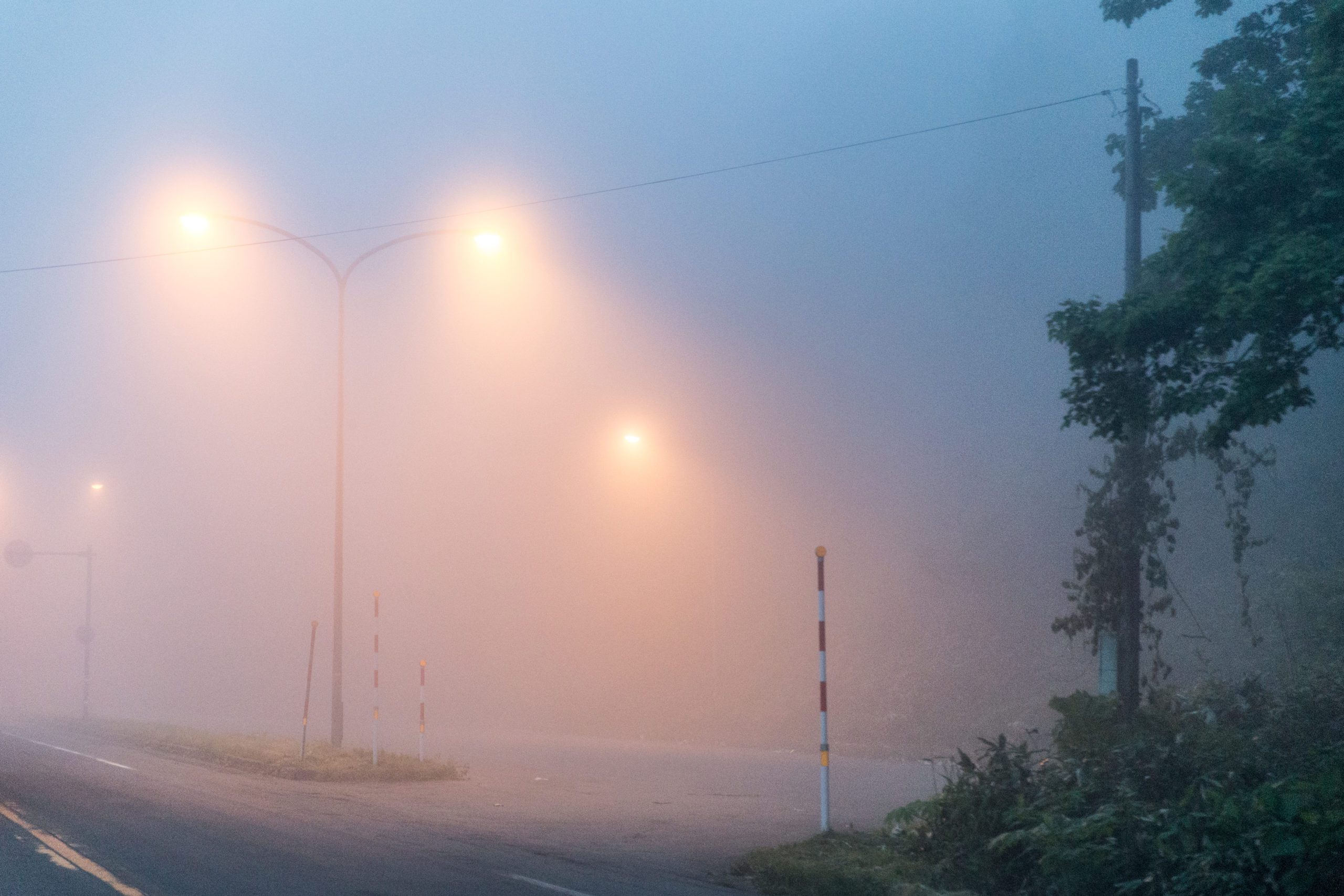 The Lost World - Art Prints - Image 11