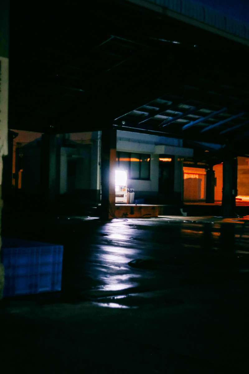 The Lost World - Book + Special Edition Print - Image 7