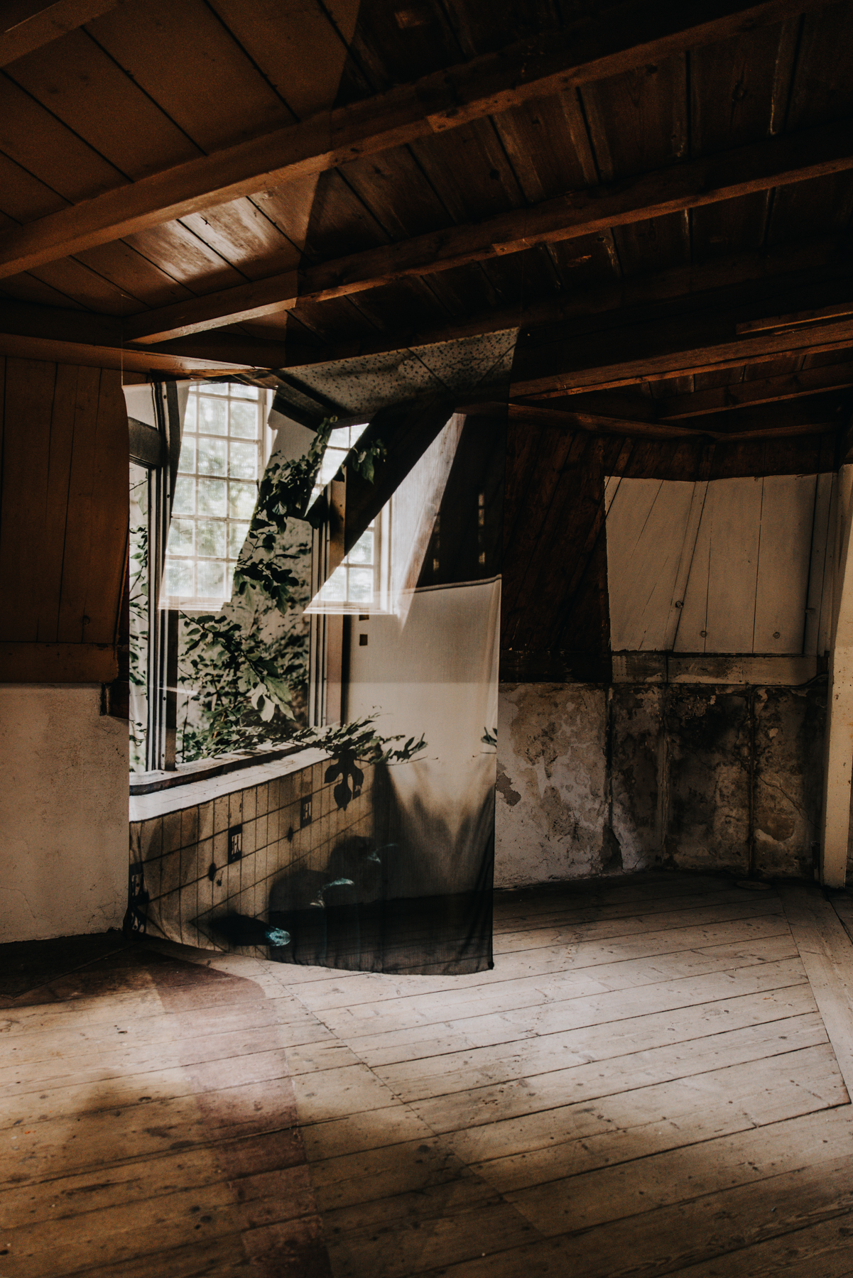 The Lost World - Art Prints - Image 10