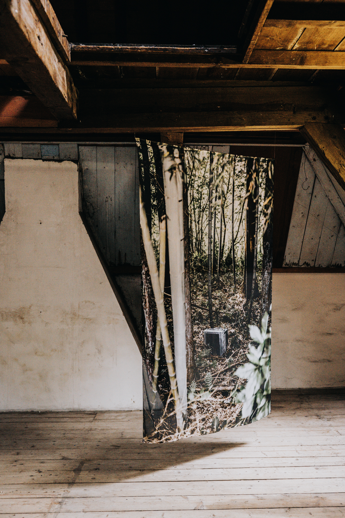 The Lost World - Art Prints - Image 17