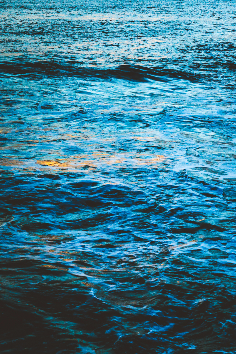 The Lost World - Art Prints - Image 15