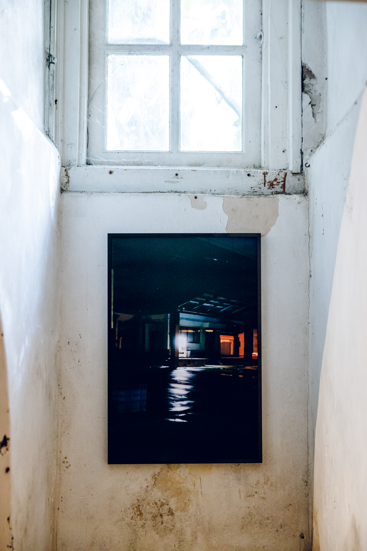 The Lost World - Book + Special Edition Print - Image 6