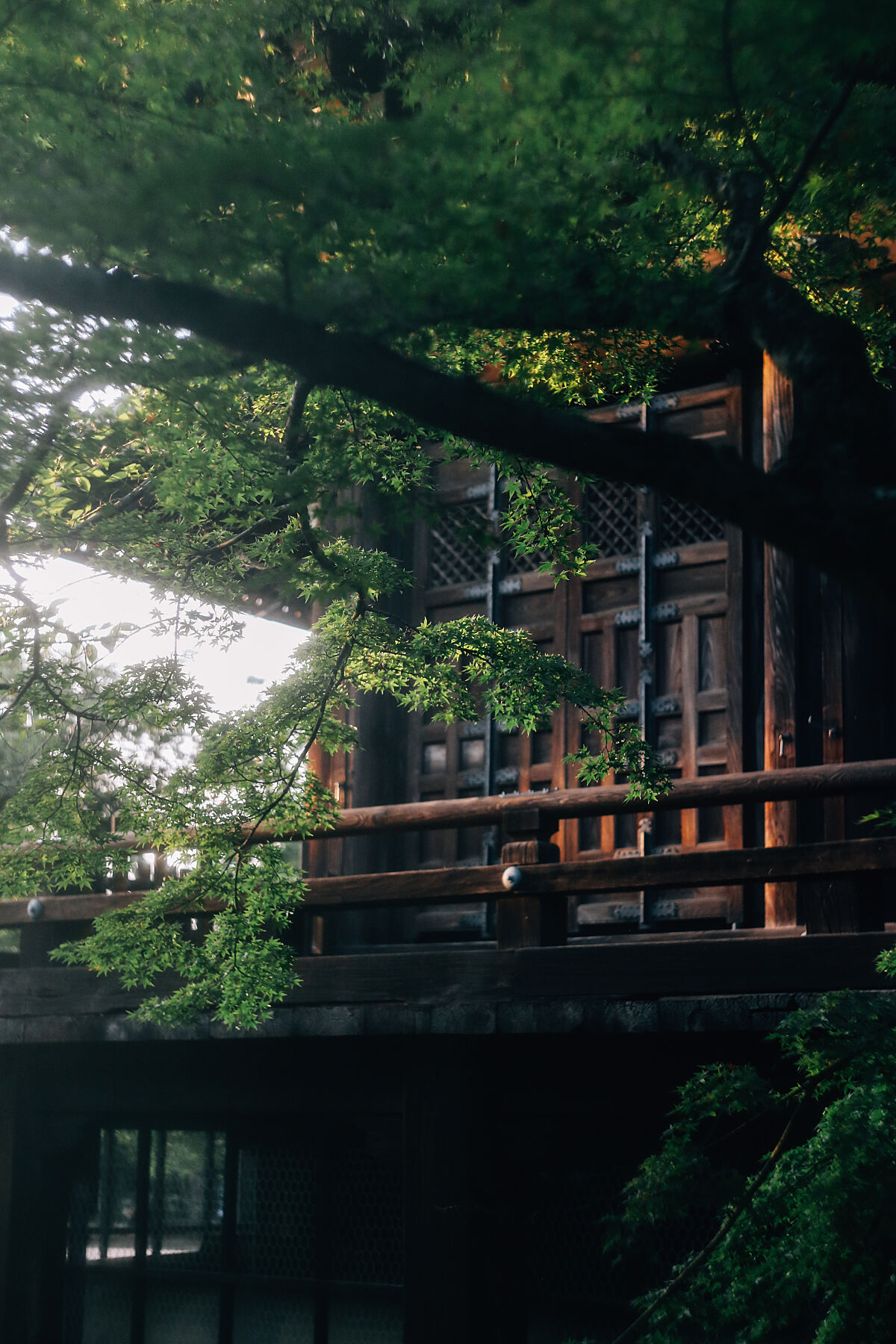 Kyoto Whispers - Image 2