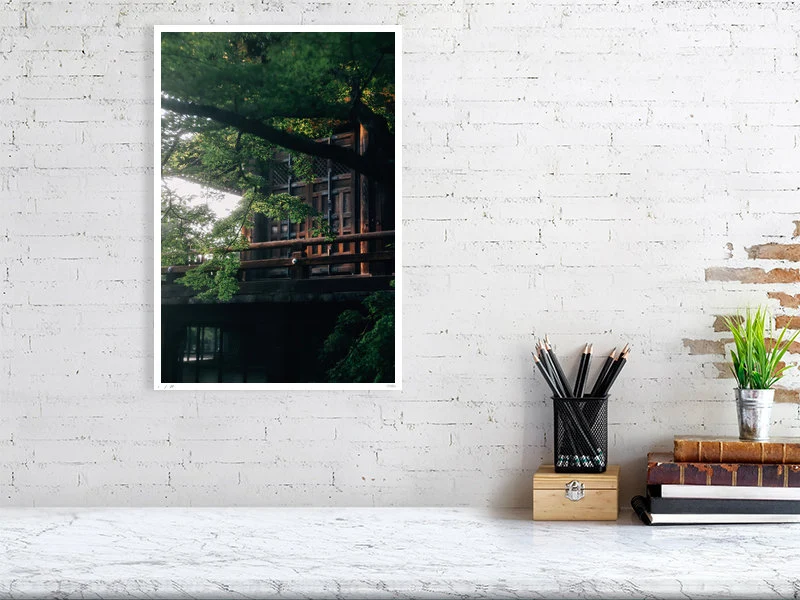 Kyoto Whispers - Image 7