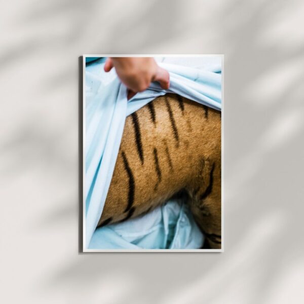 The Lost World - Tora (special edition)