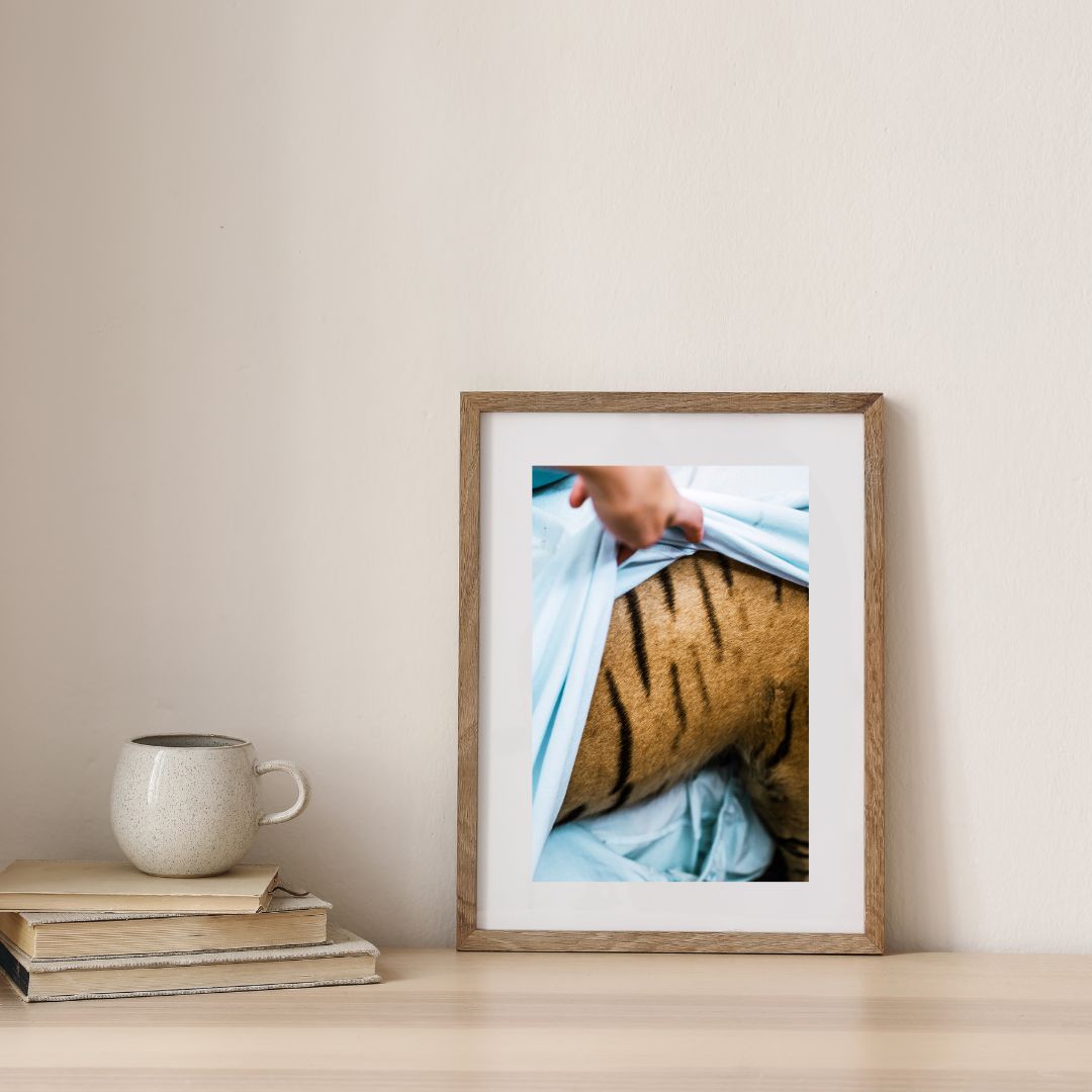 The Lost World - Tora (special edition) - Image 3