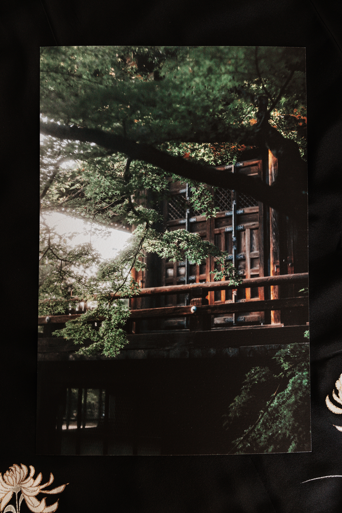 Kyoto Whispers - Image 6